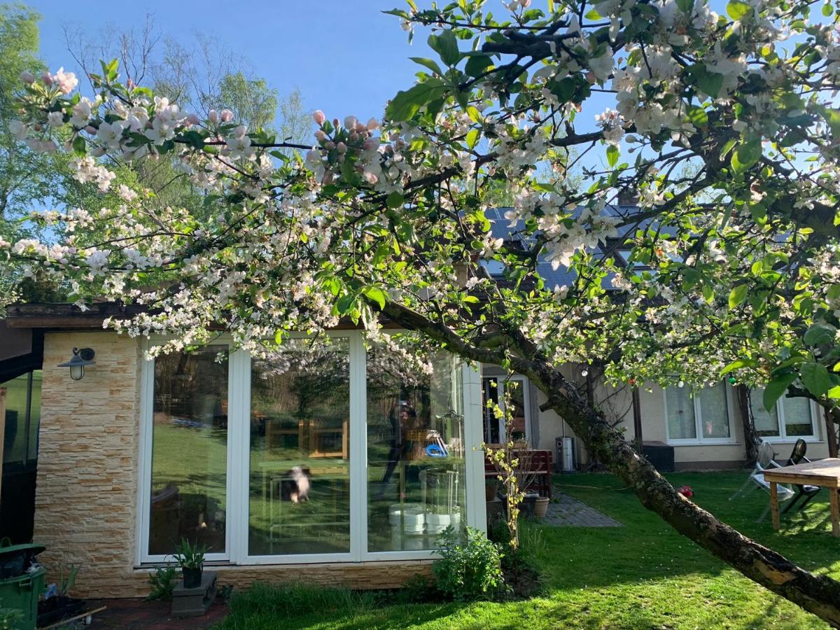 Apartman Marmelada Ctyrkoly Exterior foto